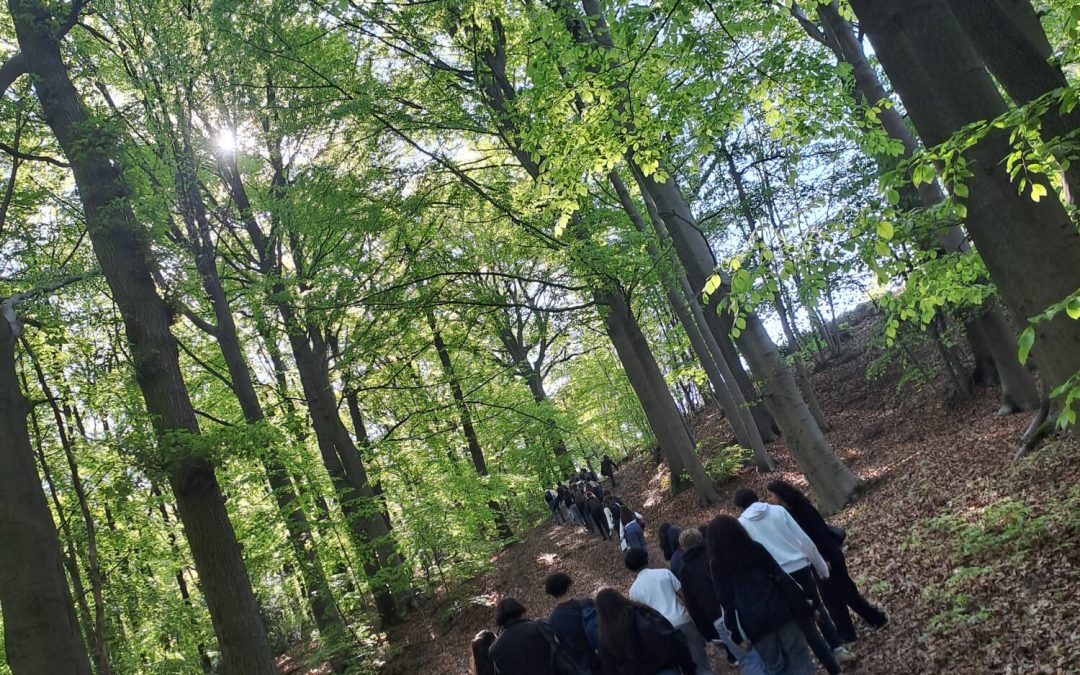 Dinsdag 29 april